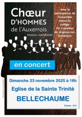 affiche concert 2025-11-23
