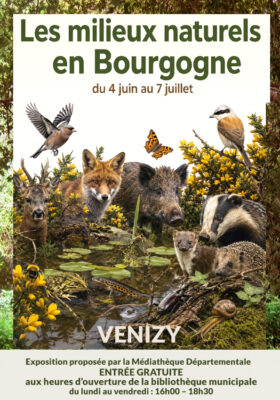 affiche bibliothèque expo
