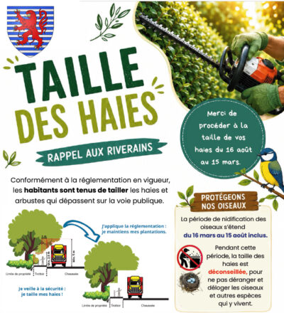 taille des haies